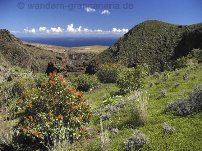 Barranco del Draguillo, Gran Canaria